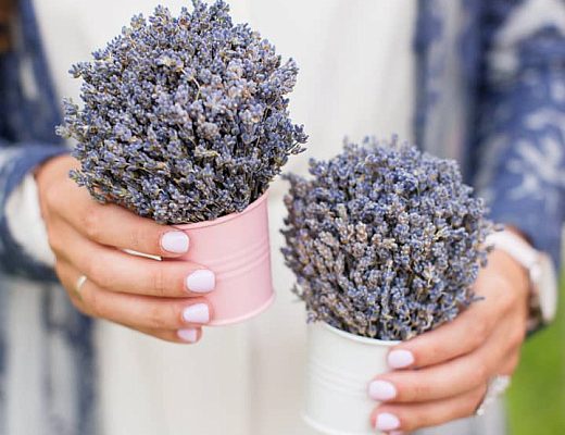 476f0d1caa3aad531c8d4e9c14aed604