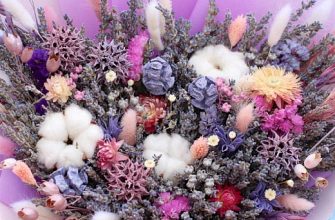 ae4240bef1cbf7a8edb45ff2d1f2e854 Ответ: Отлично!