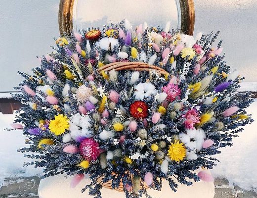 baa7813952810ebaad91dde8c566ad77