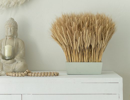 nliowe56mzgrbd96rdgfloy1cirvfqlq