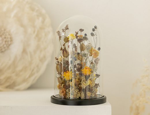 xe4qnbpll742wousn0ry8d5p9grubjbx