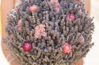 318205ed07becdd66c2b1cb01e14f8da Сухоцветы в кашпо для дома.