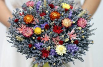 4d62d1fb2a81e418e3c087c71129d669 1 Сухоцветы в подарок.