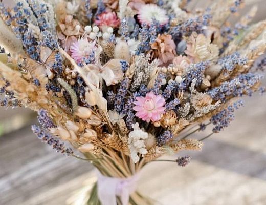 5ec1d4d562675e1836da3308236f0d3f Сухоцветы в подарок.