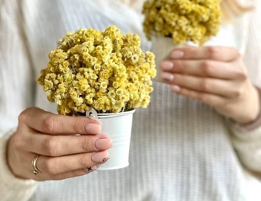 1ed429fd079c5cbaf9e812780446d053 Описание и размеры ведерка из сухоцветов.