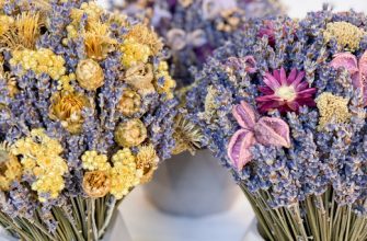 2f3a3ce418fa64d4cd937c1e29448c34 Описание композиции.