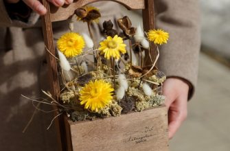 6ad630823c7e22aaed1ce0d9e98e366a Описание композиции из сузоцветов.