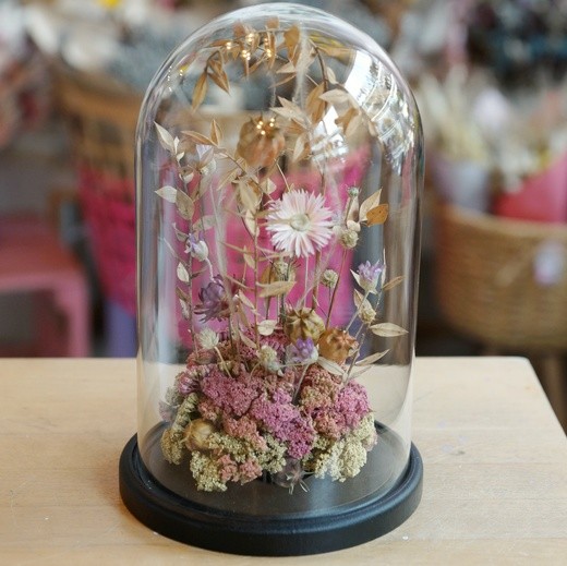 фото сузоцветов в клоше