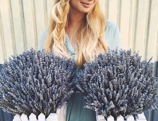 78364ccb70bbd54499999e449542b610 Описание и размеры композиции из сухоцветов.