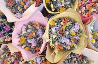 ee27a948fcc86d0c438d3554531baede В чем разница между обычной лавандой собранной в пучки для флористики и специально выращенной?