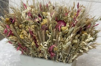 2w14w8kte2cwxffzuq9kk3sys5y9zrh2 Описание и размеры композиции из сухоцветов.