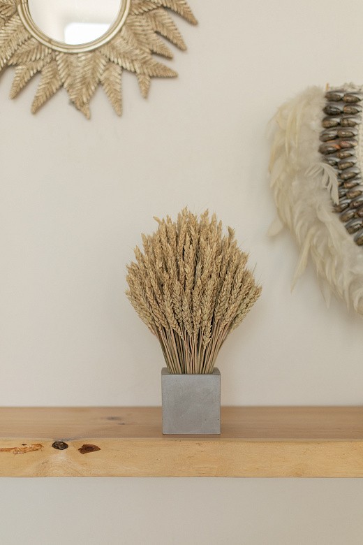 Фото сухоцветов в бетонном кашпо на кухню. 