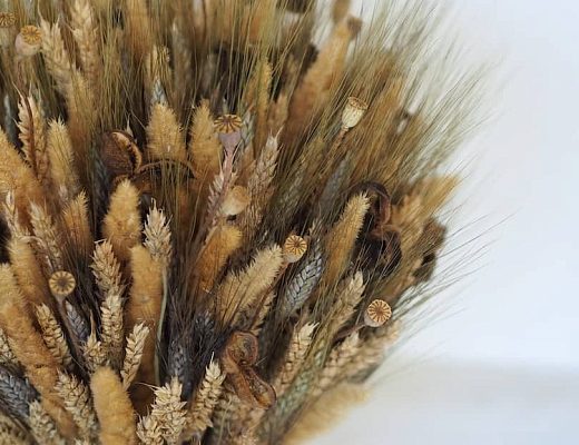 b995b28606ce88194ff27afd428dd104 Описание и размеры композиции из сухоцветов.