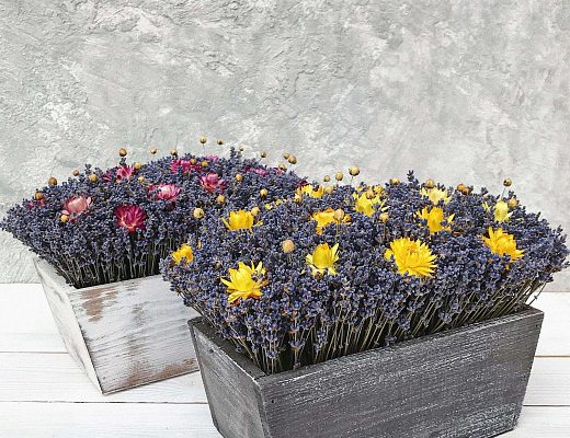 0120595b02bd840e1acc2526b8a19680 Описание и размеры композиции из сухоцветов.