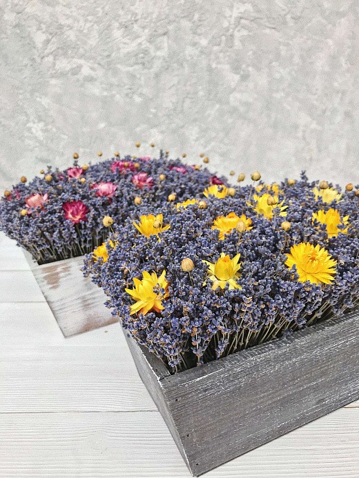 Фото ароматной композиции из лаванды в деревянном кашпо с гелихризумами. 