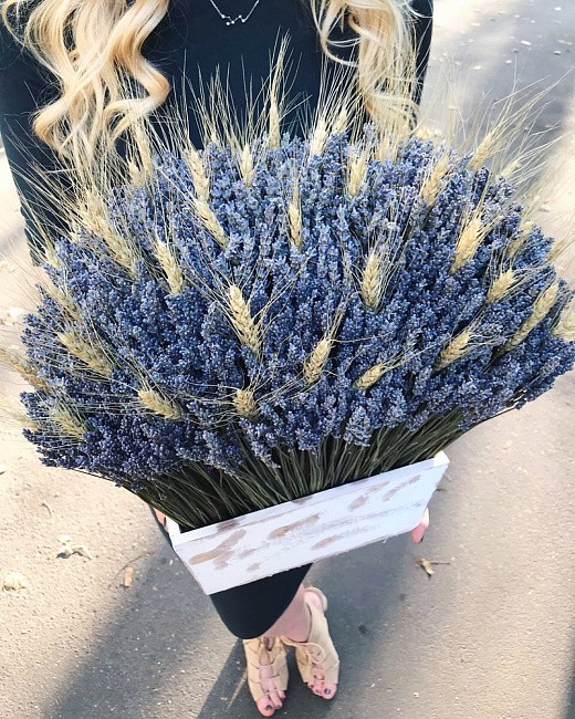 Фото яркой композиции из лаванды для гостиной. 