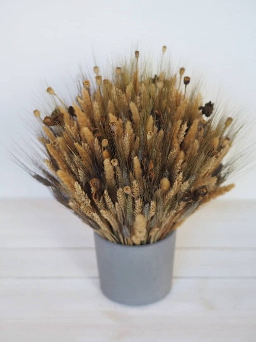 Фото композиции из сухоцветов в бетонном кашпо в интерьер. 
