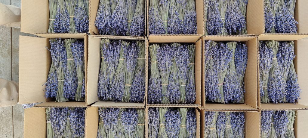 Фото упаковки пучков лаванды для транспортировки бережным способом