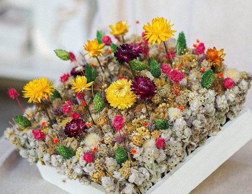 7pg5fmaw65sox2vn1px3lbyhtw8hhpu1 Описание и размеры композиции из сухоцветов.