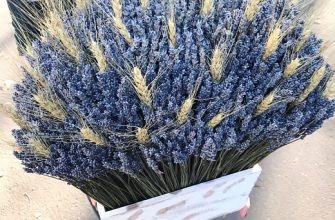 ad14a799c75b515c49416e421ac67ea3 Описание и размеры композиции из сухоцветов.