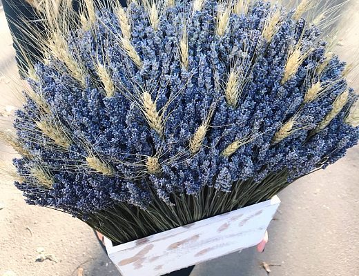 ad14a799c75b515c49416e421ac67ea3 Описание и размеры букета из сухоцветов.