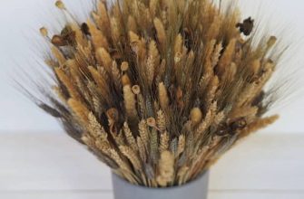 df5e87ebb04e490b5dca0aa367f1aad1 Описание и размеры композиции из сухоцветов.