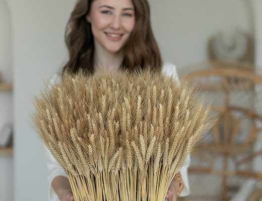 kpgplpude8hvje7ox80yl14uxke29ioq Композиция из сухоцветов в интерьере.