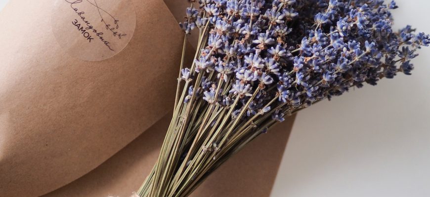 Фотография букета из высокой, ароматной, флористической лаванды