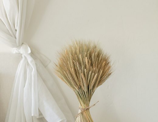 vas9o5efg12779vbjzpxrhq32k0irmcu Нужен ли сухоцветам уход?.