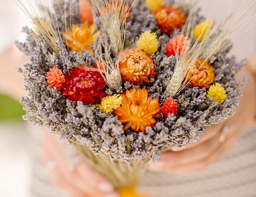 118e5ff82e32a5b784a21ce951412ab3 Если Вы ценитель эфирных масел и особенно эфирного масла лаванды, то эта статья, возможно, будет вам интересна.