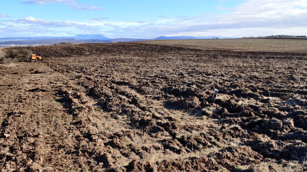 Почему органическое земледелие на порядок дороже традиционного