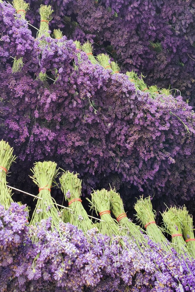 Сушка букетов флористической лаванды