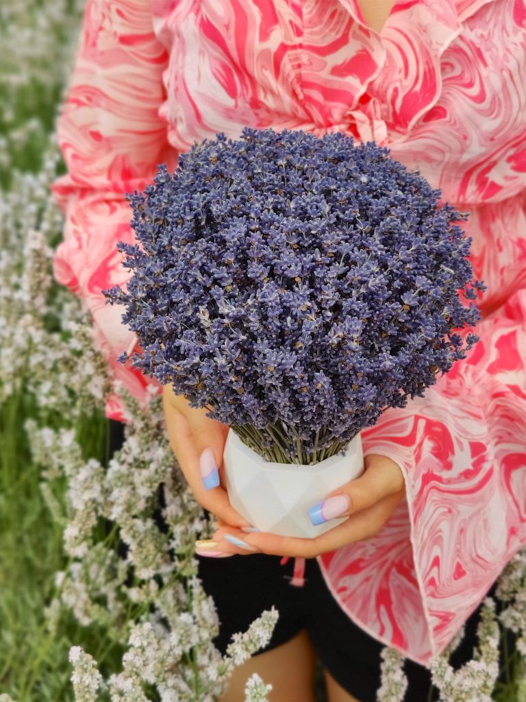 Композиция из флористической лаванды в граненом гипсовом кашпо