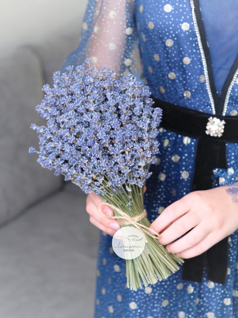 Необычное поздравление учителю на 1 сентября