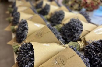 photo 2023 08 10 10.04.06 Описание и размеры букета из сухоцветов.