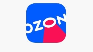 Аккуратный букет из натуральных цветов высушенной лаванды с доставкой в любую точку России, Казахстана или Беларуси.