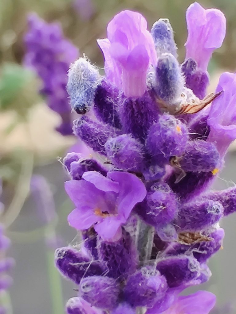 Сергей Русаков