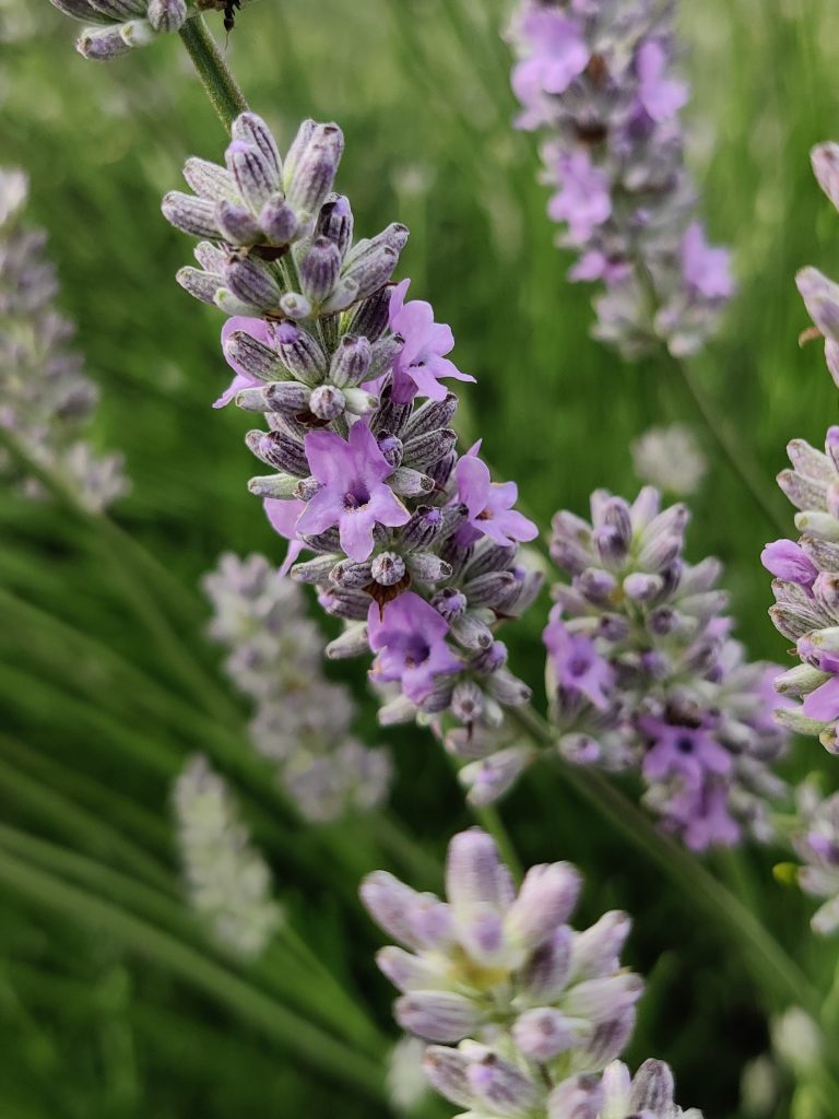 Сергей Русаков