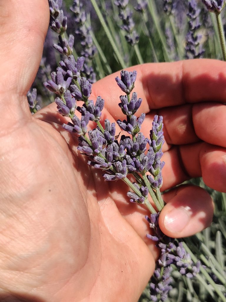 Сергей Русаков