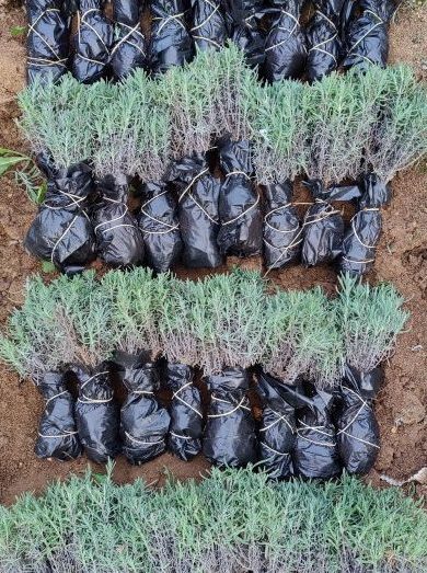 Сергей Русаков