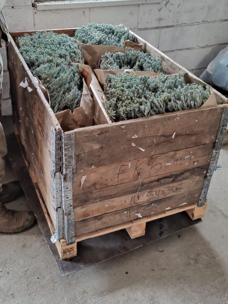 Сергей Русаков