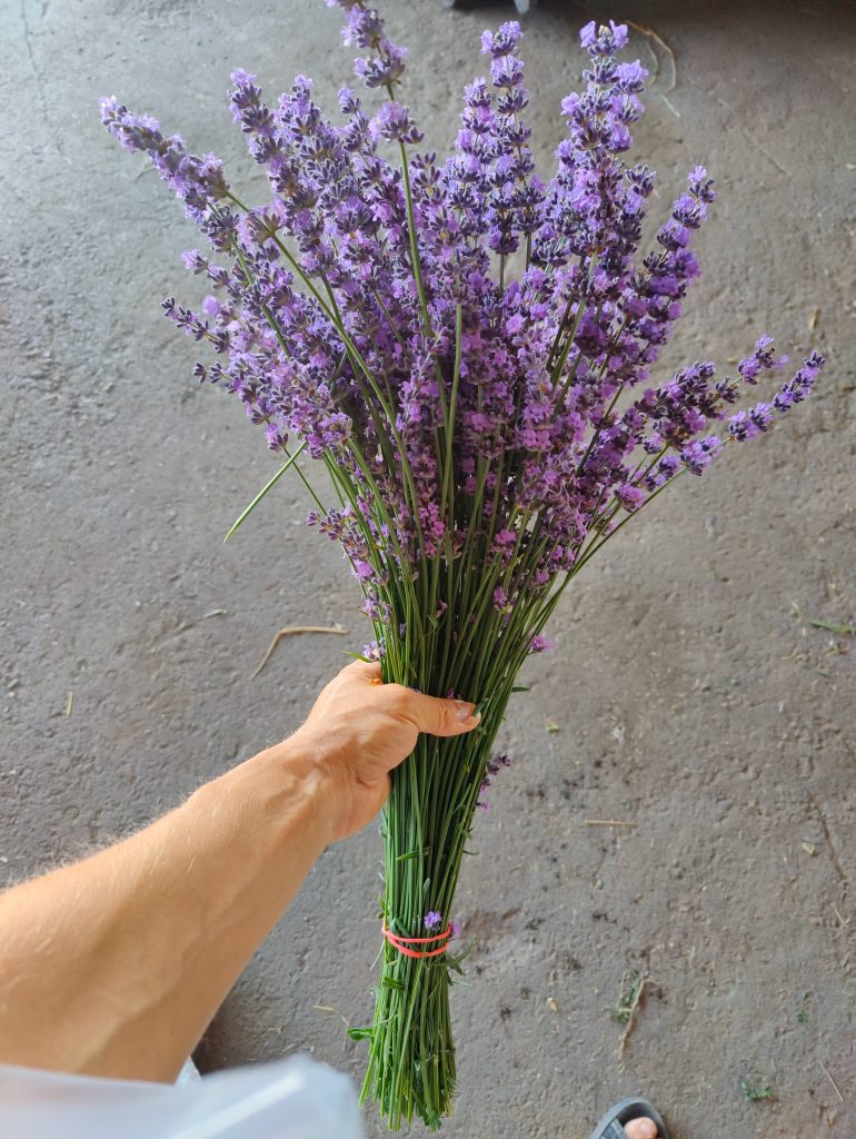 Сергей Русаков