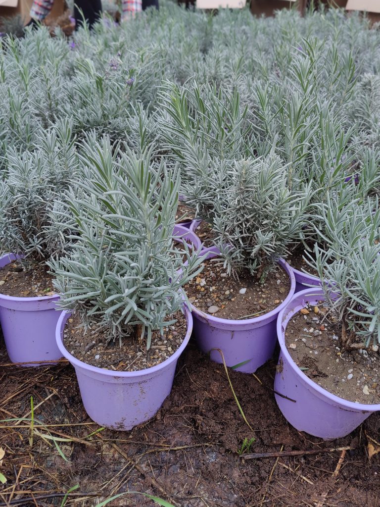 Сергей Русаков