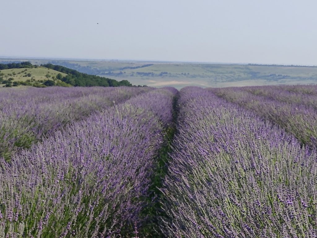 Сергей Русаков