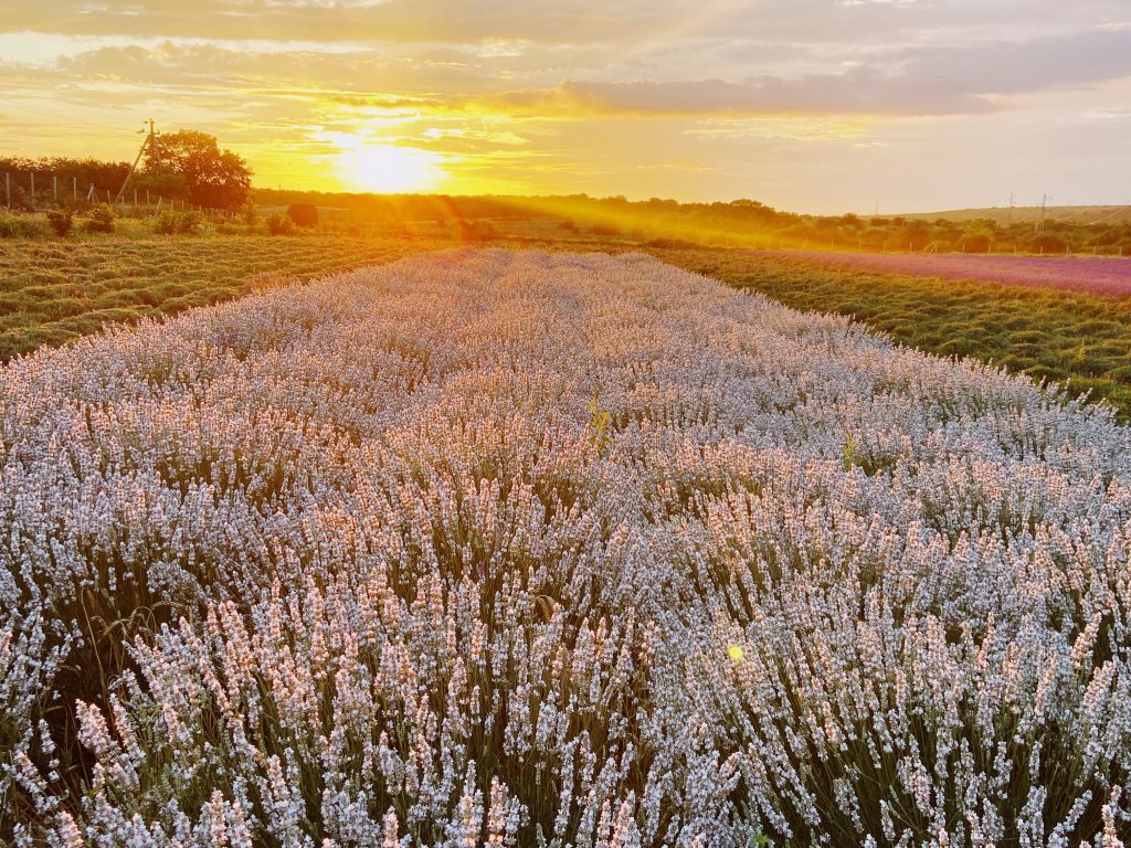 Сергей Русаков