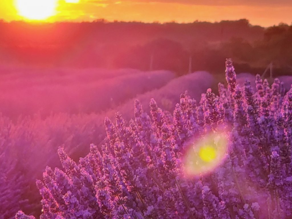 Сергей Русаков