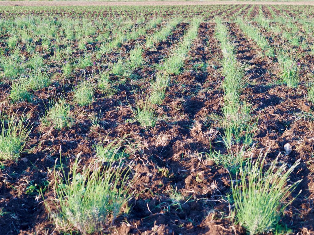 Сергей Русаков