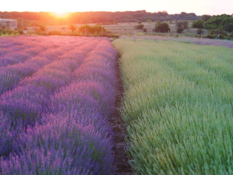 Сергей Русаков