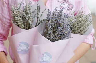 bb4d3bb4c26f20818e90cee48cd955fc С 2017 года занимается сельским хозяйством, экспериментатор, лавандовый селекционер. В прошлом специалист IT индустрии.