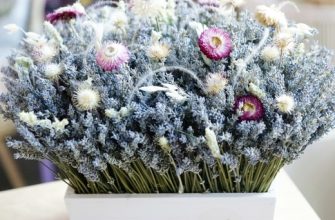 Композиция из сухоцветов в деревянном кашпо. 18 29e353ba1275695bbbe460c9ef1bbf08 Описание и размеры композиции из сухоцветов.